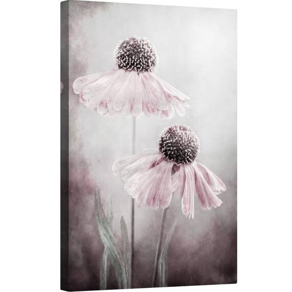 Tablou canvas - Duet, Heleniu, Sneezeweed, Roz, Floral, 60 x 90 cm - - Roveli