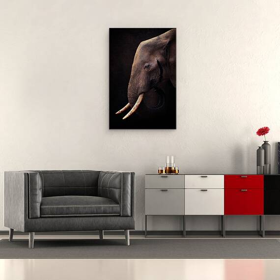 Tablou canvas - Elefant, Colti, Intelept, Cunoastere, 60 x 90 cm - 2- Roveli