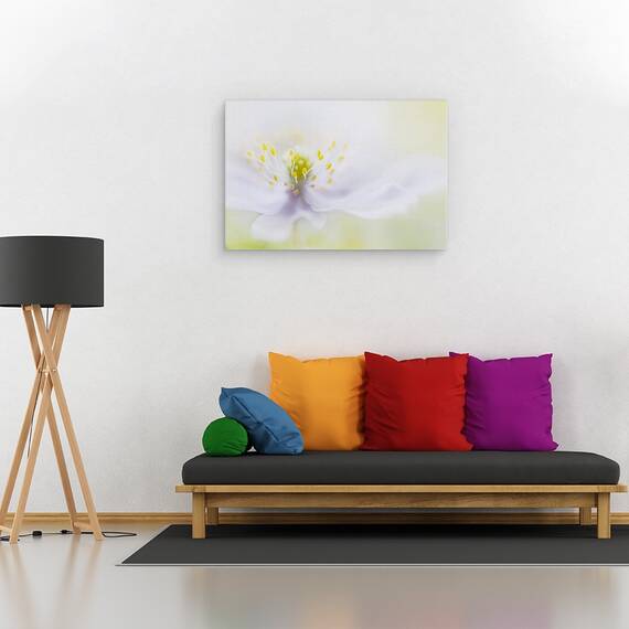 Tablou canvas - Floare, Moale, Fragil, Bland, 60 x 90 cm - 2- Roveli