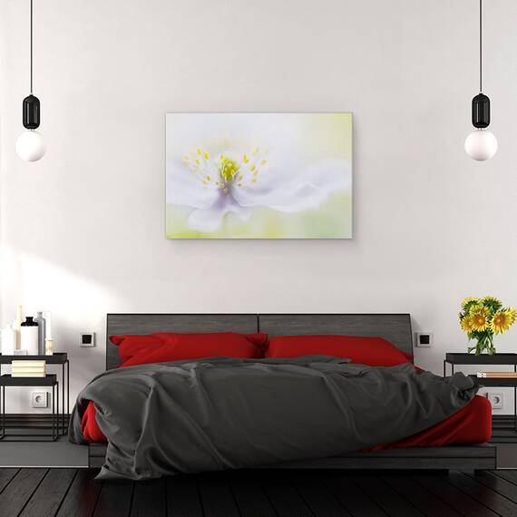 Tablou canvas - Floare, Moale, Fragil, Bland, 60 x 90 cm - 3- Roveli