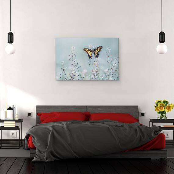 Tablou canvas - Frumusetea Randunicii, Fluture, Lunca, Floare, Aripi, 80 x 120 cm - 3- Roveli