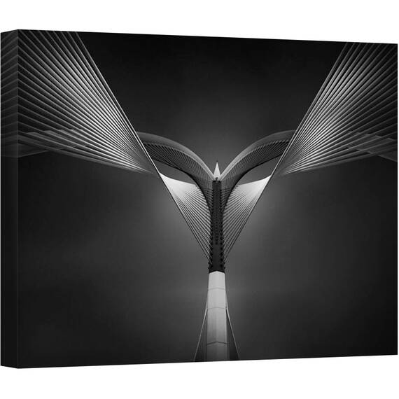 Tablou canvas - Inima de Otel, Arhitectura, Abstract, Reper, Malaysia, Urbana, Alb-Negru, 75 x 100 cm - - Roveli