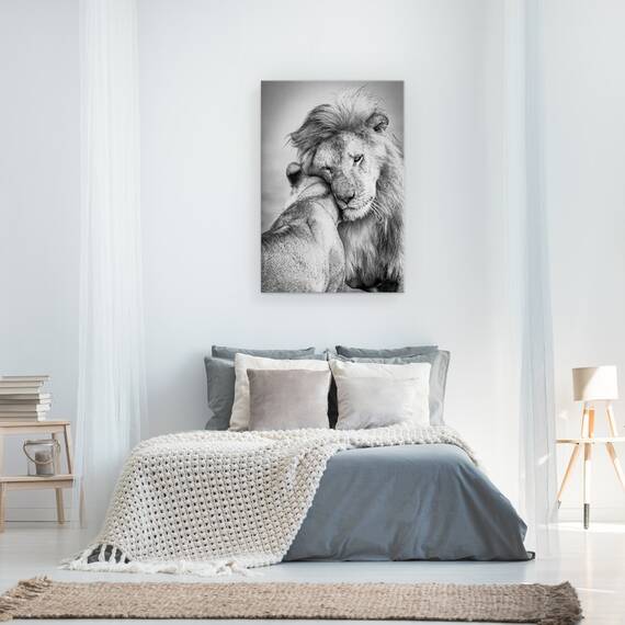 Tablou canvas - Iubire Africana, Leu, Leoaica, Salbatic, Iubire, Afectiune, Serengeti, 80 x 120 cm - 3- Roveli