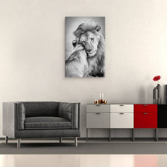 Tablou canvas - Iubire Africana, Leu, Leoaica, Salbatic, Iubire, Afectiune, Serengeti, 40 x 60 cm - 2- Roveli
