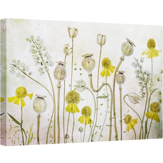 Tablou canvas - Maci si Heleniu, Flori de Maci, Heleniu, Seminte, Vara, Flori, Floral, 80 x 120 cm - - Roveli