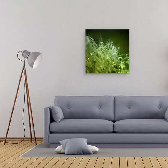 Tablou canvas - Perlele Diminetii, Roua, Dimineata, Perle, Pana, Perla, 60 x 60 cm - 2- Roveli