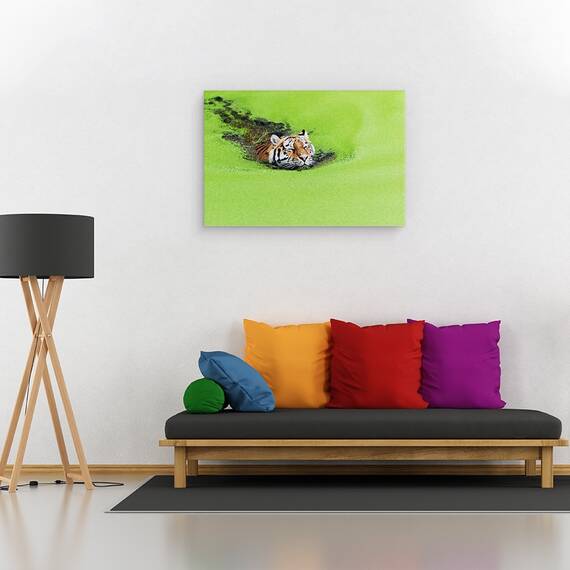 Tablou canvas - Relaxare, Tigru, Inot, Alge, Relaxare, Animal, Baie, 80 x 120 cm - 2- Roveli