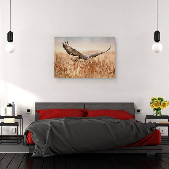 Tablou canvas - Soim, soarece, Vultur, Camp, Aripi, Zbor, Zbor, 60 x 90 cm - 3- Roveli