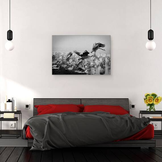 Tablou canvas - Trio, Fauna, Salbatic, Natura, Animal, Pasare, 40 x 60 cm - 3- Roveli
