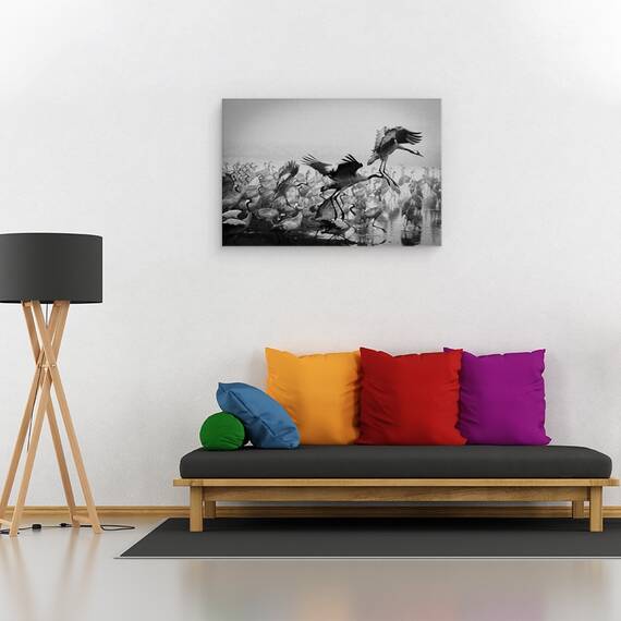 Tablou canvas - Trio, Fauna, Salbatic, Natura, Animal, Pasare, 60 x 90 cm - 2- Roveli