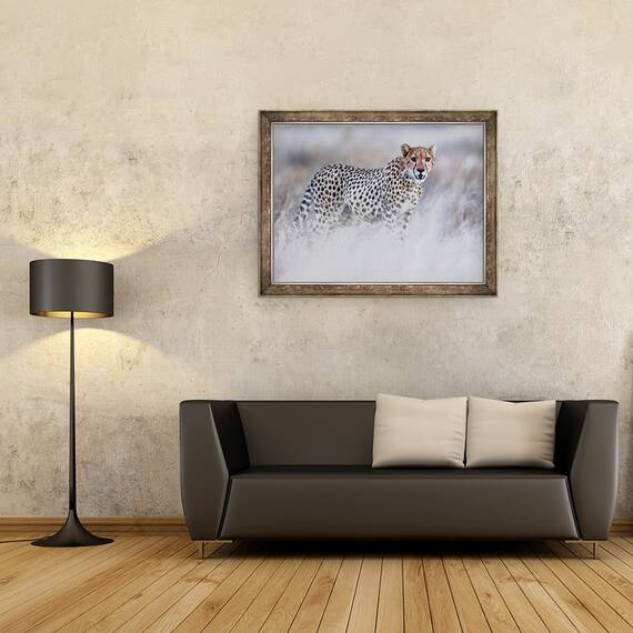 Tablou inramat - Eric Meyer - Ghepardul Chyulu, 60 x 80 cm - 2- Roveli
