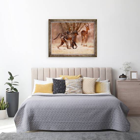 Tablou inramat - Eric Meyer - Mama babuin, 2019, 60 x 80 cm - 3- Roveli