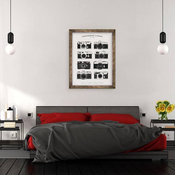 Tablou inramat - Florent Bodart - Camere foto, 60 x 80 cm - 3- Roveli