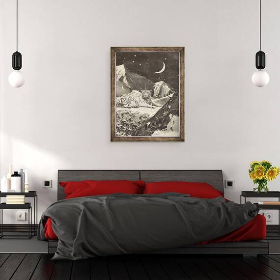 Tablou inramat - Florent Bodart - Tigru alb gigant in munti, 60 x 80 cm - 3- Roveli