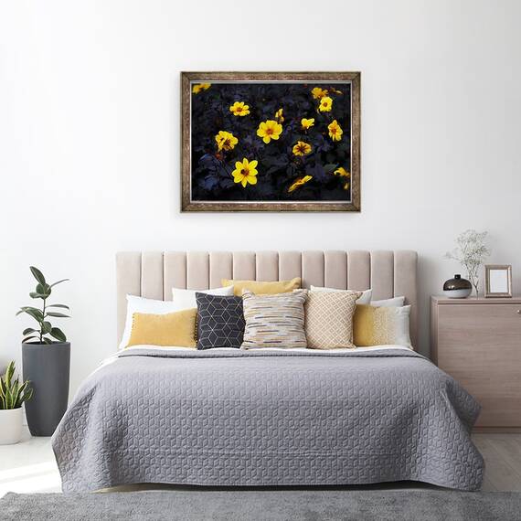 Tablou inramat - Helen White - Catifea galbena, 2019, 60 x 80 cm - 3- Roveli