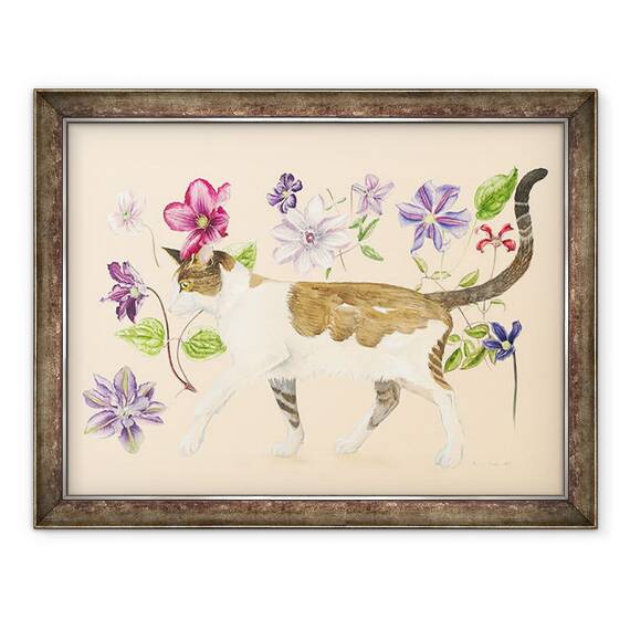 Tablou inramat - Alison Cooper - O pisica pe nume Dave, 60 x 80 cm - - Roveli