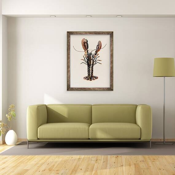 Tablou inramat - Alison Cooper - Homar din Solva, 2014, 60 x 80 cm - 2- Roveli
