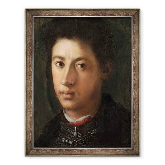 Tablou inramat - Jacopo Pontormo - Alessandro de Medici, 60 x 80 cm - - Roveli
