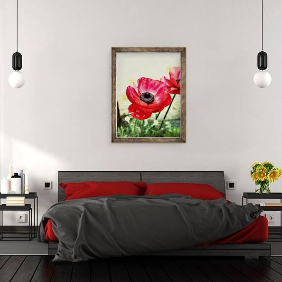 Tablou inramat - AlyZen Moonshadow - Anemone Rosii, 2013, 60 x 80 cm - 3- Roveli