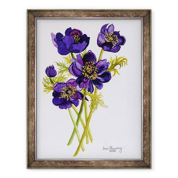 Tablou inramat - Joan Thewsey - Anemone, 2011, 60 x 80 cm - - Roveli