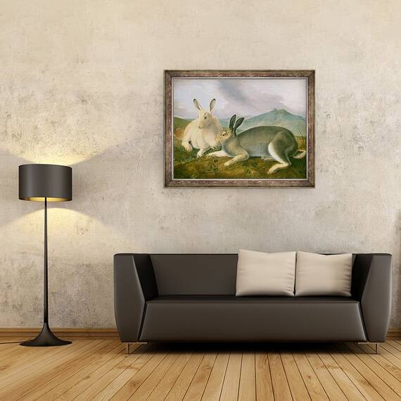 Tablou inramat - John James Audubon - Iepurele arctic, 60 x 80 cm - 2- Roveli