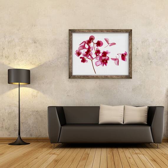Tablou inramat - Julia McLemore - Begonia roz I, 60 x 80 cm - 2- Roveli