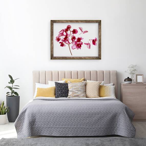 Tablou inramat - Julia McLemore - Begonia roz I, 60 x 80 cm - 3- Roveli