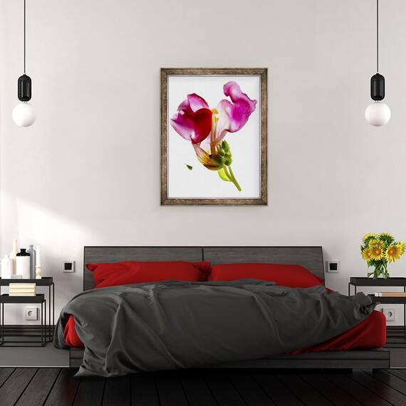 Tablou inramat - Julia McLemore - Gura-Leului, 60 x 80 cm - 3- Roveli