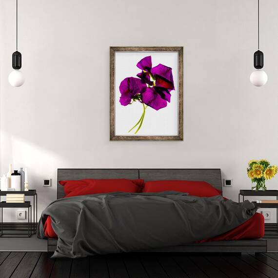 Tablou inramat - Julia McLemore - Panselute III, 60 x 80 cm - 3- Roveli