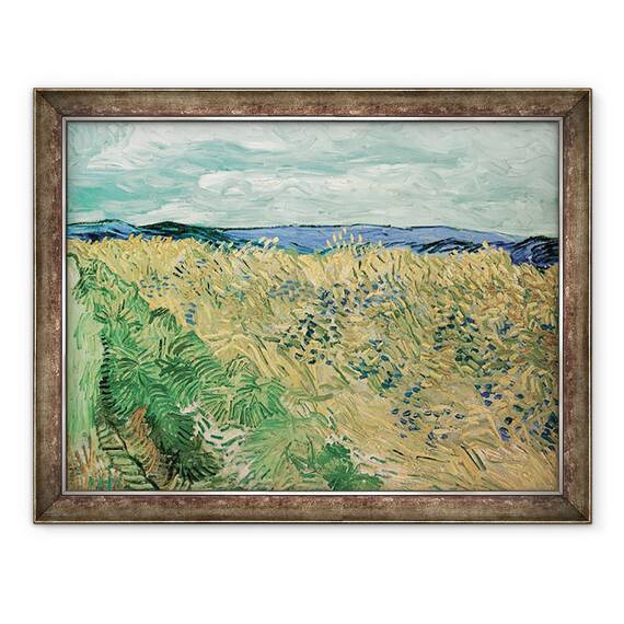 Tablou inramat - Vincent van Gogh - Campul de grau cu albastrea, 60 x 80 cm - - Roveli