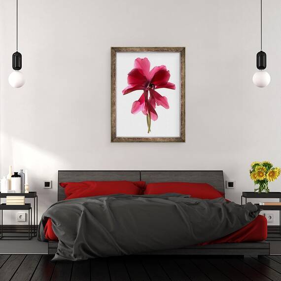 Tablou inramat - Julia McLemore - Dans ciclamen, 2009, 60 x 80 cm - 3- Roveli