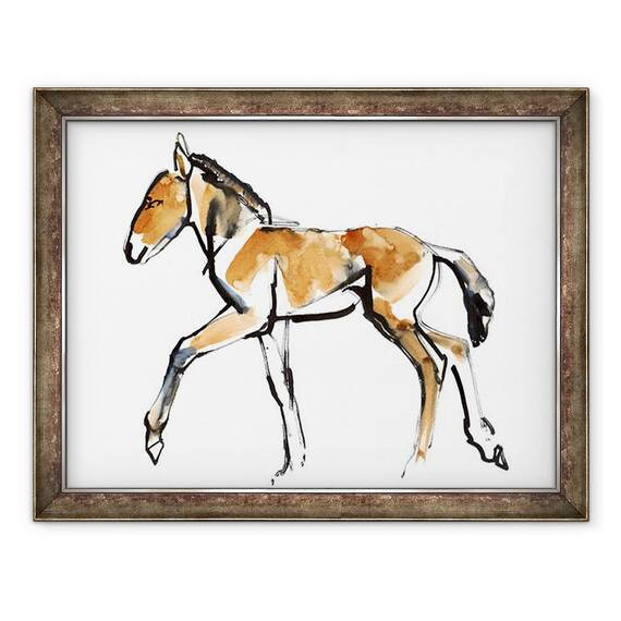 Tablou inramat - Mark Adlington - Colt Przewalski, 60 x 80 cm - - Roveli