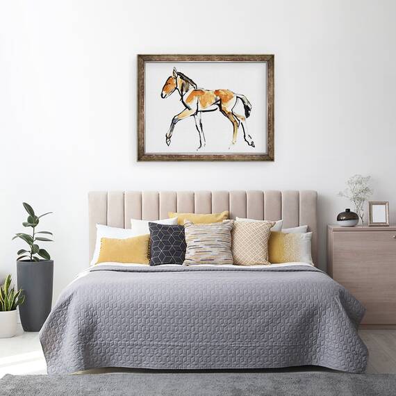 Tablou inramat - Mark Adlington - Colt Przewalski, 60 x 80 cm - 3- Roveli