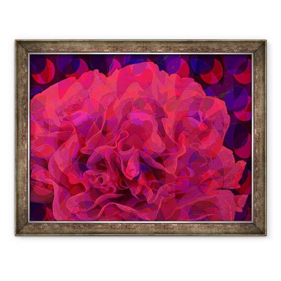 Tablou inramat - Scott J. Davis - Garoafe, 60 x 80 cm - - Roveli