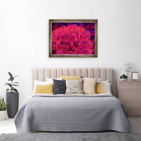 Tablou inramat - Scott J. Davis - Garoafe, 60 x 80 cm - 3- Roveli