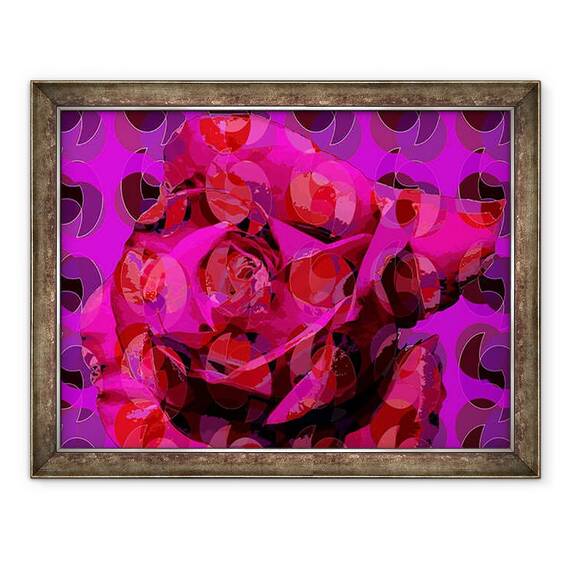 Tablou inramat - Scott J. Davis - Rose, 60 x 80 cm - - Roveli