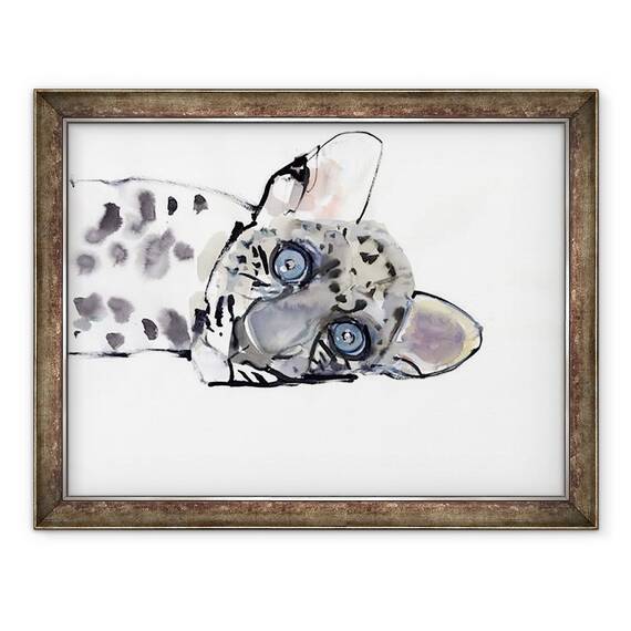 Tablou inramat - Mark Adlington - Leopard I, 60 x 80 cm - - Roveli