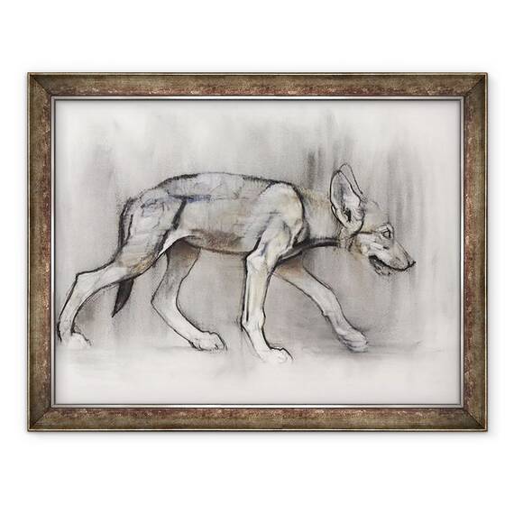 Tablou inramat - Mark Adlington - Pup Lean Lupul Arabian, 60 x 80 cm - - Roveli