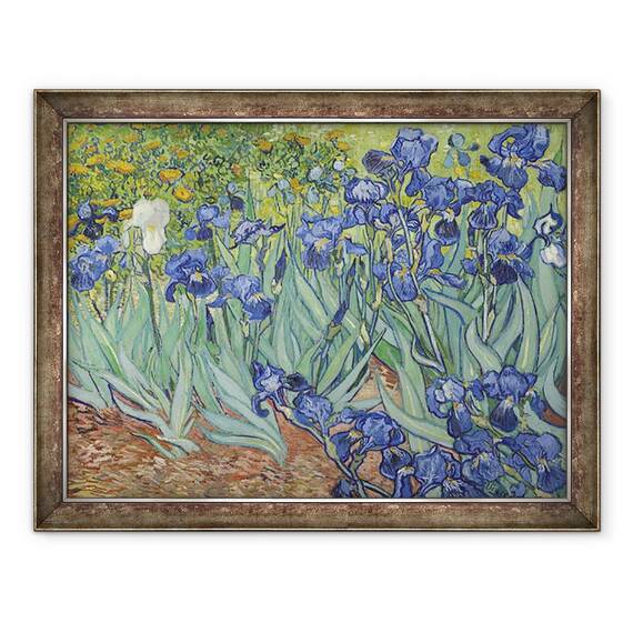 Tablou inramat - Vincent van Gogh - Irisi I, 70 x 90 cm - - Roveli