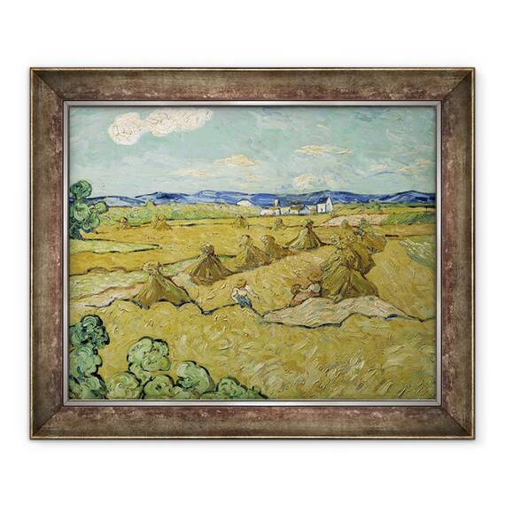 Tablou inramat - Vincent van Gogh - Capiile cu fan, 50 x 60 cm - - Roveli