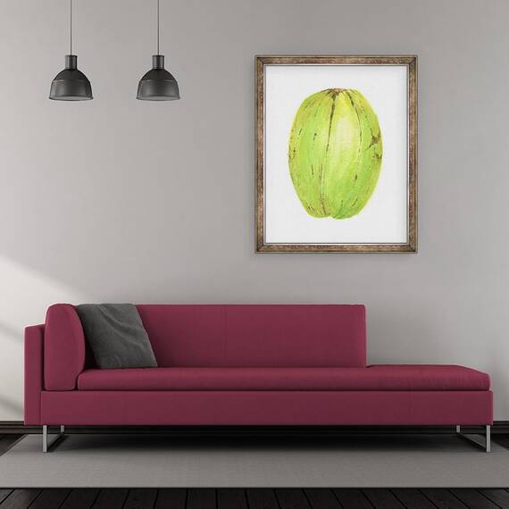 Tablou inramat - Lincoln Seligman - Nuca de cocos, Sri Lanka, 50 x 60 cm - 2- Roveli