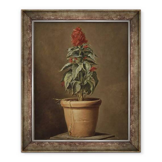Tablou inramat - Henri Horace Roland de la Porte - Planta in ghiveci, 50 x 60 cm - - Roveli