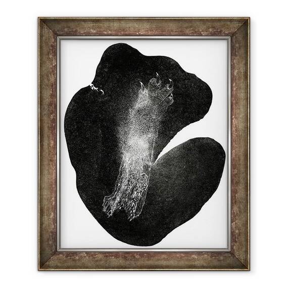 Tablou inramat - Bella Larsson - Clawfoot, 50 x 60 cm - - Roveli