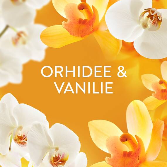 Perle parfumate pentru rufe Lenor Gold Orchid & Vanilla, 270 g, parfum nonstop pana la 12 saptamani, note de orhidee aurie si vanilie, pentru toate tipurile de tesaturi - 2- Roveli