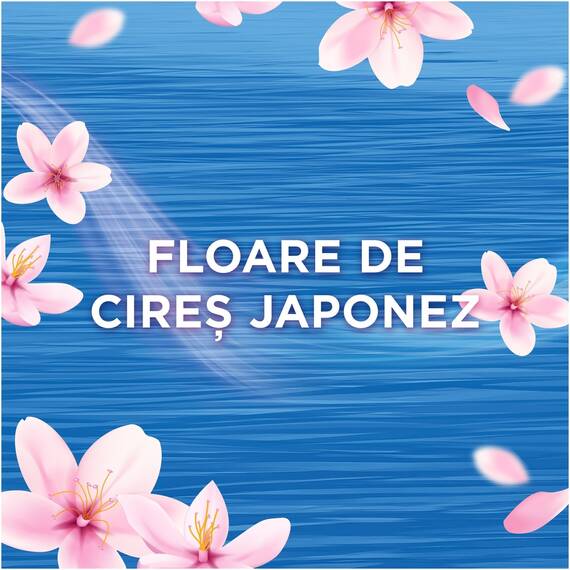 Perle parfumate pentru rufe Lenor Japanese Blossom editie limitata, 195 g, parfum nonstop pana la 12 saptamani, floare de cires japonez, pentru toate tipurile de tesaturi - 2- Roveli
