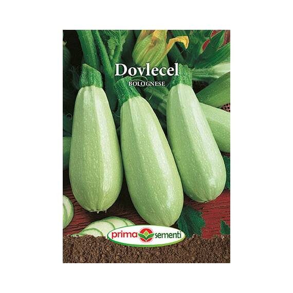 Seminte dovlecei Bolognese 4 gr - - Roveli