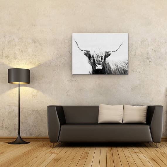 Tablou canvas - Animale, Bovine Highland Scotiene, Alb-Negru, Marime: 50 x 70 cm - 2- Roveli