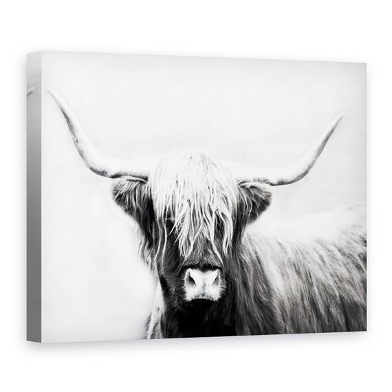 Tablou canvas - Animale, Bovine Highland Scotiene, Alb-Negru, Marime: 60 x 80 cm - - Roveli