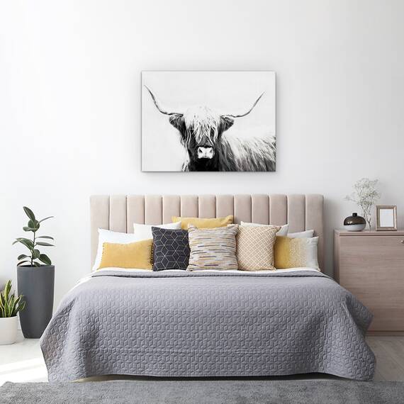 Tablou canvas - Animale, Bovine Highland Scotiene, Alb-Negru, Marime: 60 x 80 cm - 3- Roveli