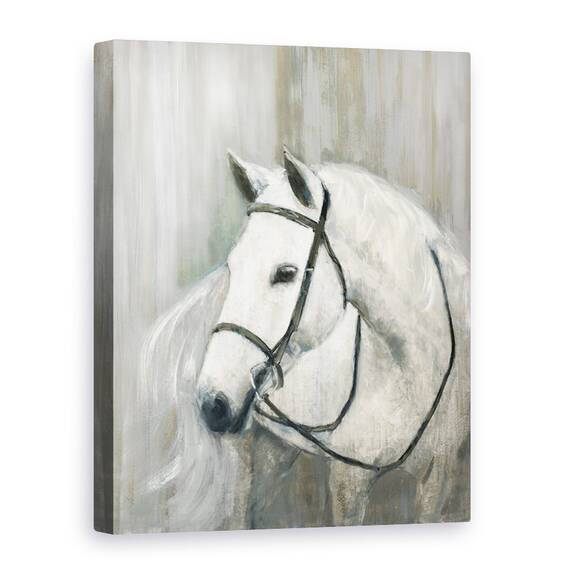 Tablou canvas - Animale, Cal, Alb, Pictura, Marime: 60 x 80 cm - - Roveli